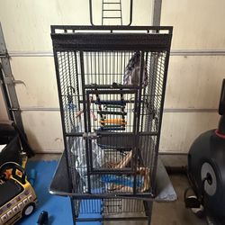 Bird cage