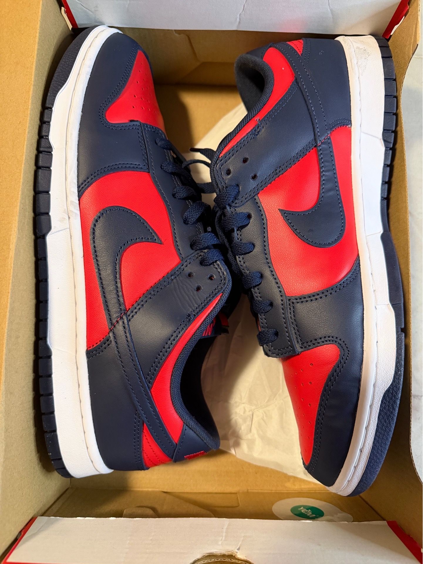 Size 13 Nike Dunk