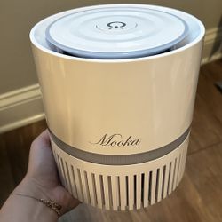 Air Purifier- Portable Size