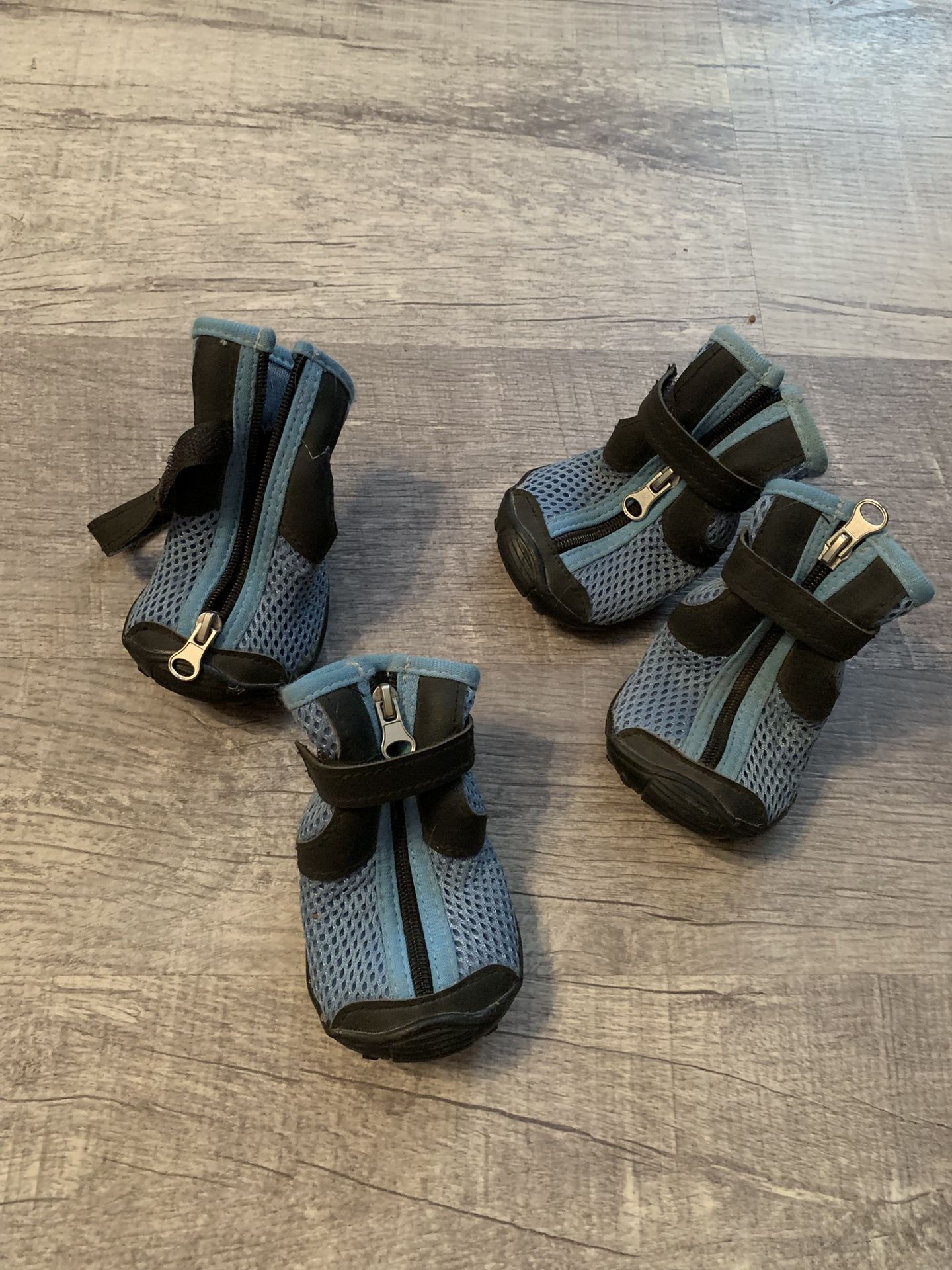 Dog Shoes