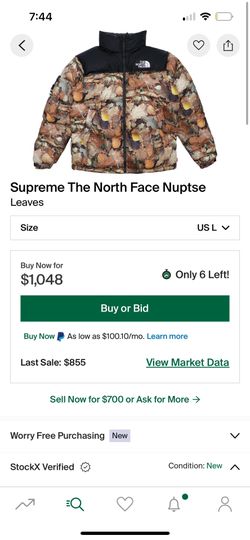 Supreme The North Face Nuptse Leaves