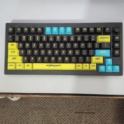 Keychron V1 Max Customized 