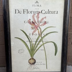 Beautiful Floral Picture For Large Wall