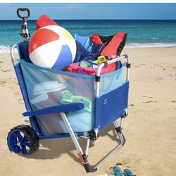 Beach Carry All Chair