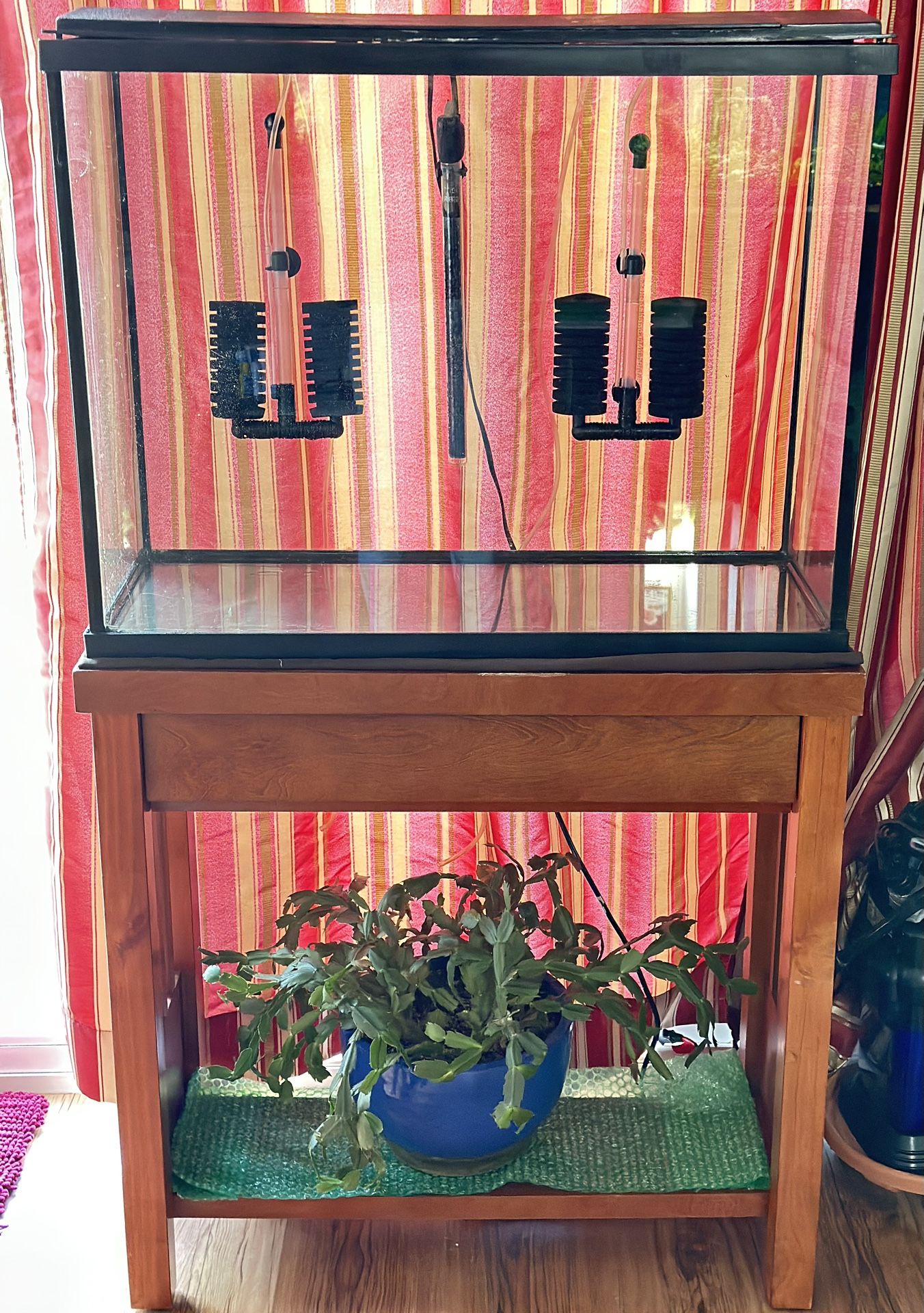 Fish tank and Stand $100