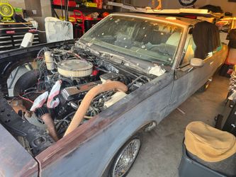 1983 regal project