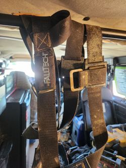 Safety Harness