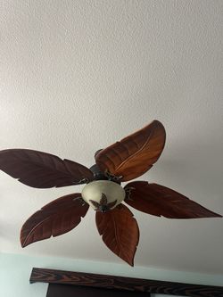 Ceiling Fan