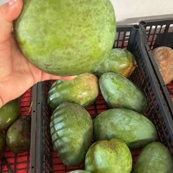 Valencia Pride $6.00 X Pound 