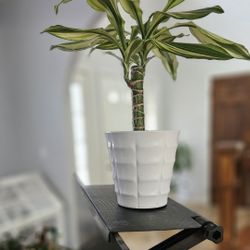 13 Inch TV Computer Monitor Shelf