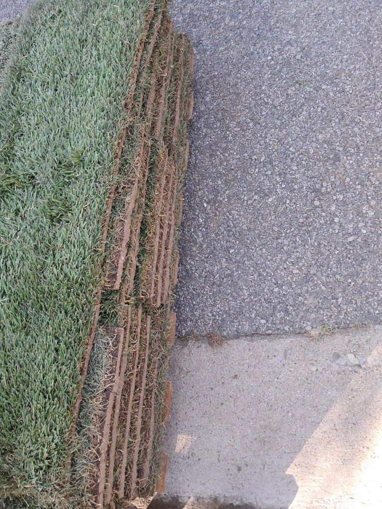 120 Sqft Of Sod