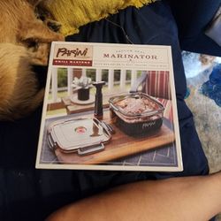 Parini Food Marinator