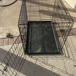 Dogs cage 