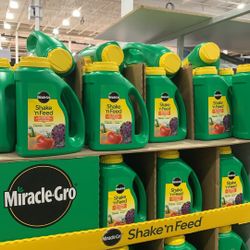 Shake And Feed For Plant