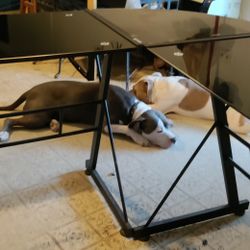 Glass Table 