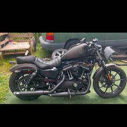 2021 Harley Davidson Sportster xl 883