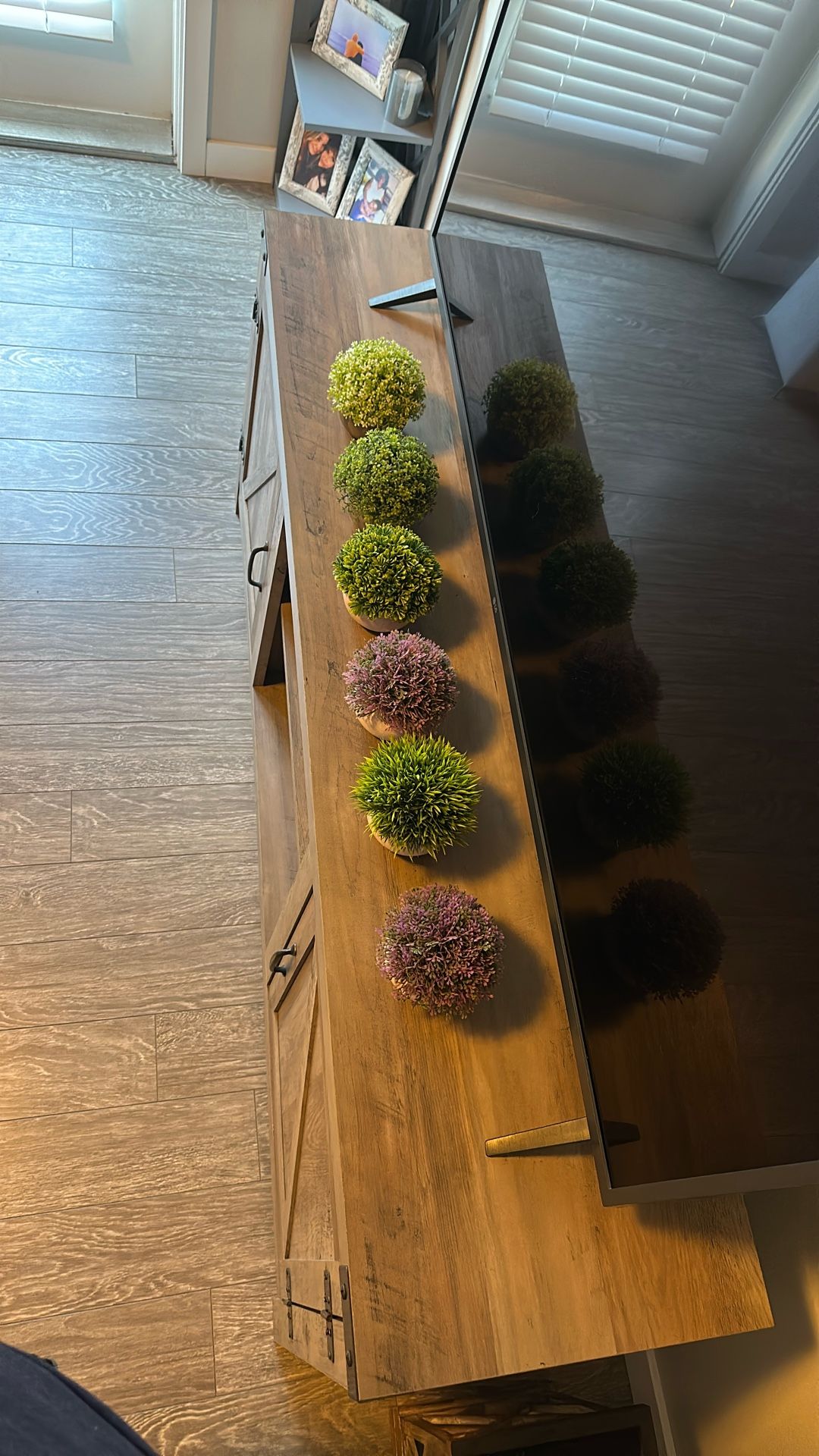 6 Small Decorative Plants