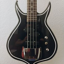 Gene Simmons Punisher Bass & Amp $300