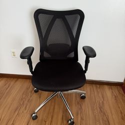 Sihoo M18 Classic Office Chair With Triple Spinal Relief