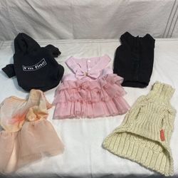 ✅ Small dog or puppy supplies 