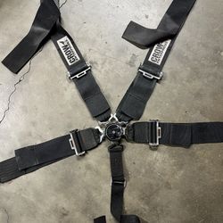 Crow Race Harness