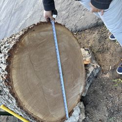 Oak for sale
