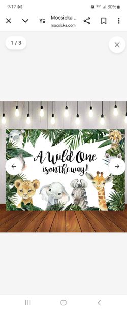 A Wild One Is On The Way Baby Shower