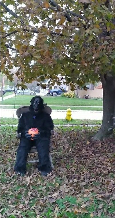 Halloween Costumes 75