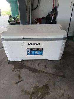 Igloo Maxcold XL