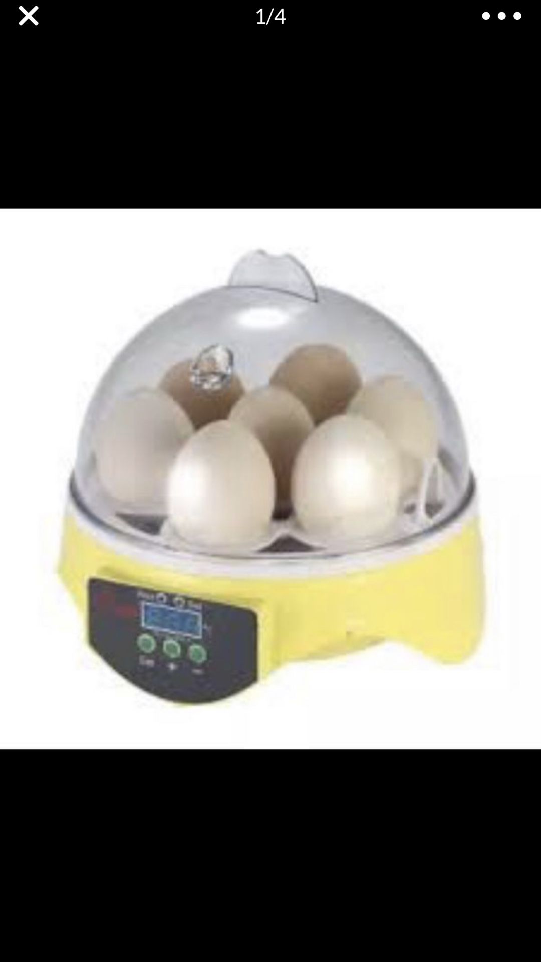 Incubator for 7 eggs