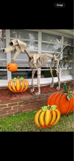 Skelly dog