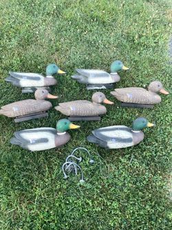 Decoy floating ducks