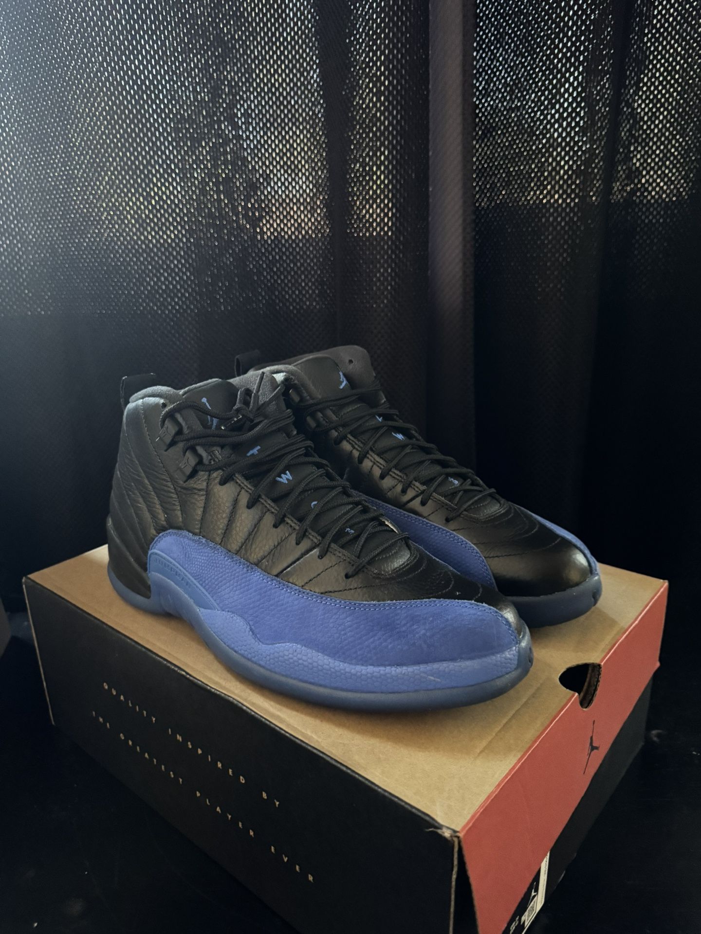 Jordan 12 Game Royal color way size 11
