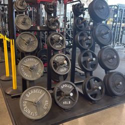 Olympic Weights – Bumper Plates – Bar – Rubber Flooring – Smith Machine – Squat Rack – Bench – Dumbbells