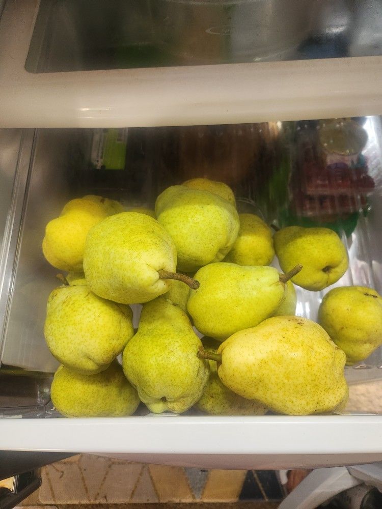 ORGANIC PEARS