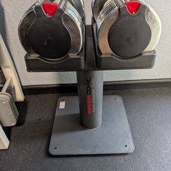 Weider adjustable dumbbells