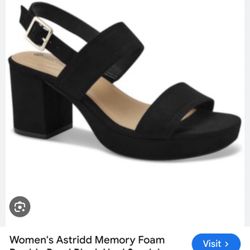 Giani Bernini Woman’s Astridd Memory Foam Double Band Block Heel Suede Sandals 