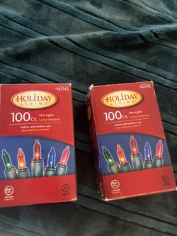Holiday Living Set Of 2 Mini Light 100 Ct Indoor And Outdoor