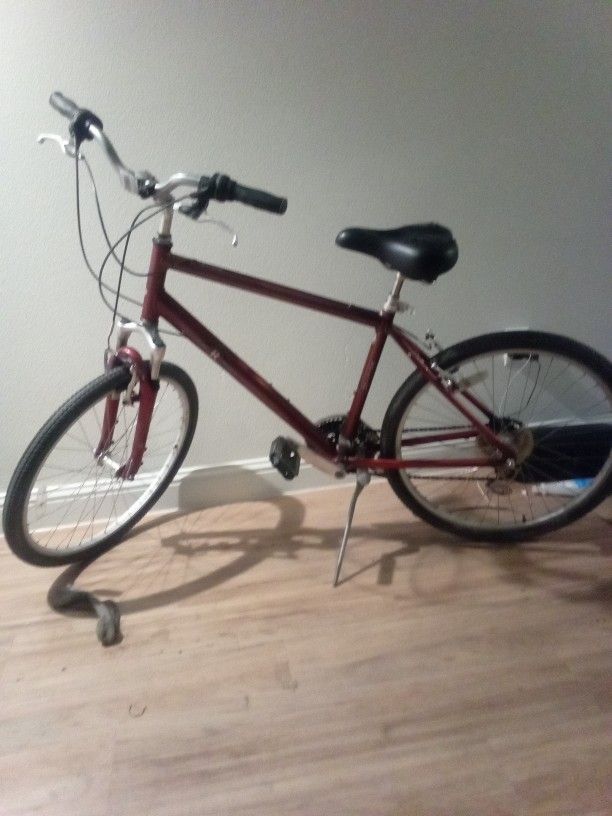 Realiea  26" Mountain Bike