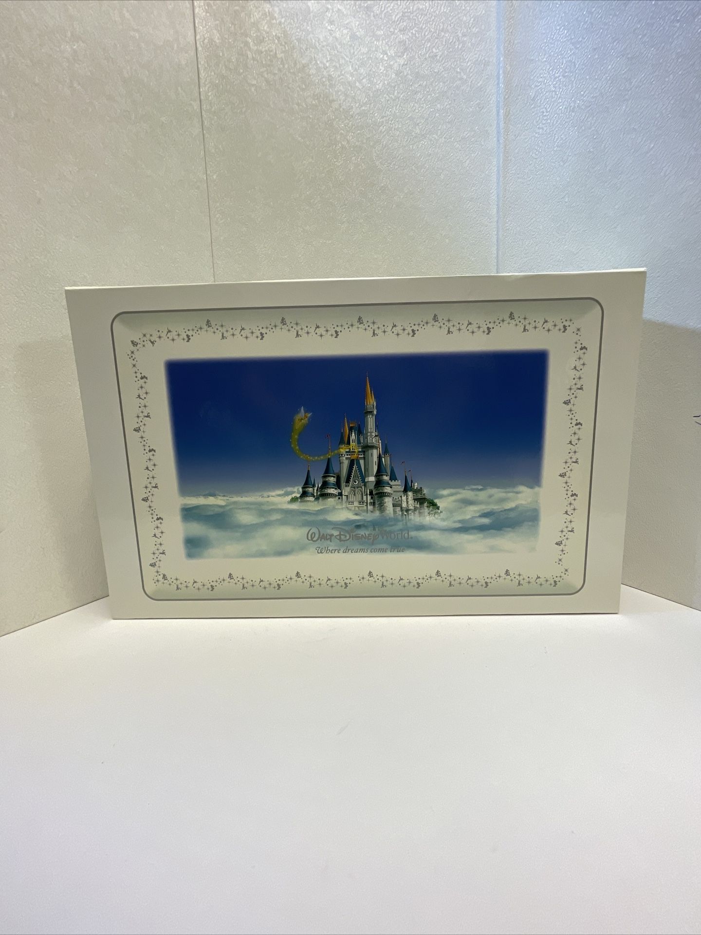 Walt Disney World Ceramic Wall Plate Where Dreams Come True Cinderellas Castle