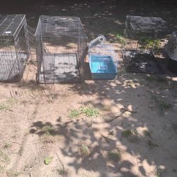 Cages/Kennels/Dog Houses