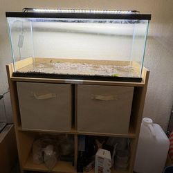 20 Gallon Fish Tank and Stand For Sale 
