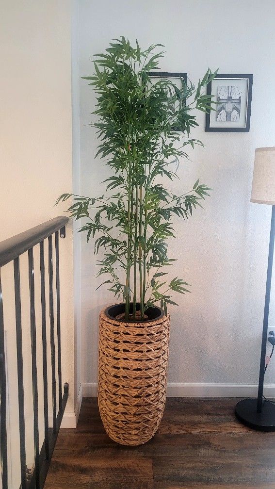 Decorative Indoor Plants w/ Modern Planters - $60 for Both or $35 Each