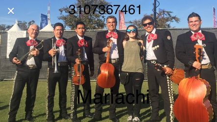 Vihuela bajo de mariachi