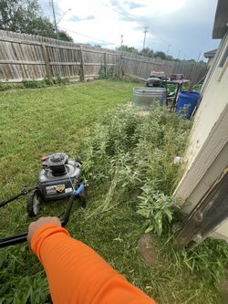 Grass Cut