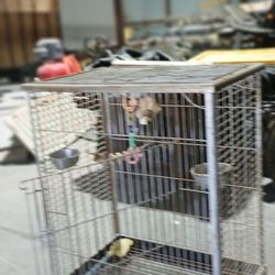 Big Bird Cage  - MOVING SALE