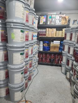 Paint and primer