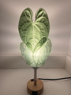 Anthurium lamp