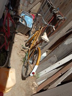 European bicycle