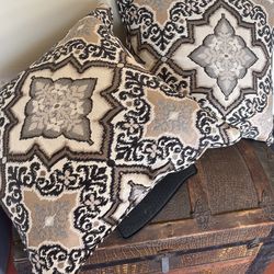 Two Large Throw Pillows 